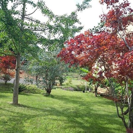 Istanti - Salvia Διαμέρισμα Costigliole Saluzzo Εξωτερικό φωτογραφία