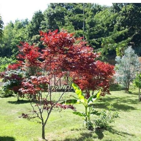 Istanti - Salvia Διαμέρισμα Costigliole Saluzzo Εξωτερικό φωτογραφία