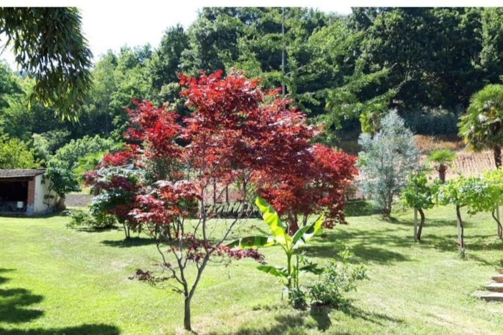Istanti - Salvia Διαμέρισμα Costigliole Saluzzo Εξωτερικό φωτογραφία