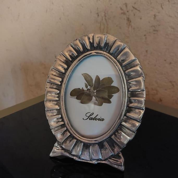 Istanti - Salvia Διαμέρισμα Costigliole Saluzzo Εξωτερικό φωτογραφία